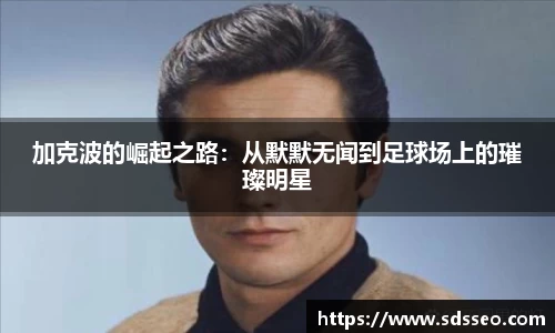 快盈VIII