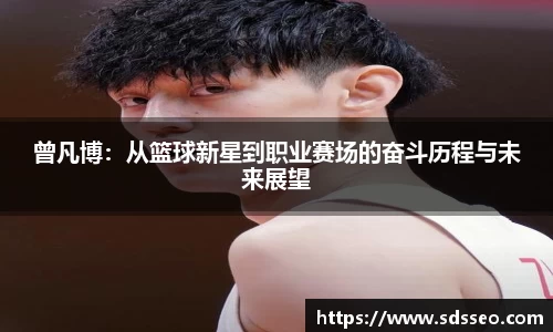 快盈VIII